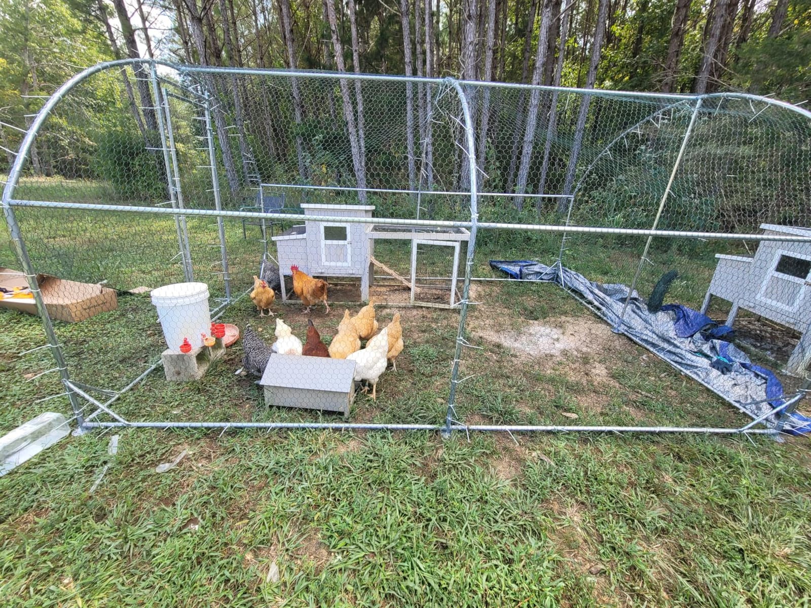 Large Metal Chicken Coop Spire Top Upgrade Tri-Supporting Wire Mesh Chicken Run,Chicken Pen with Water-Resident and Anti-UV Cover,Duck Rabbit House Outdoor (19.5'L x 10'W x 6.5'H) customer photo 2
