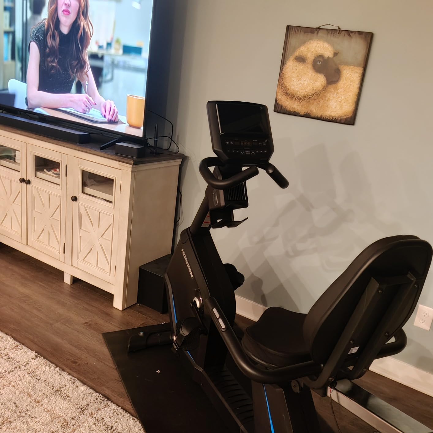 Horizon Fitness 5.0R Recumbent Bike, Fitness & Cardio, Magnetic Resistance Cycling Bike with Bluetooth, Comfort Seat with Lumbar Support, Step-through Frame, and 350lb Weight Capacity customer photo 1