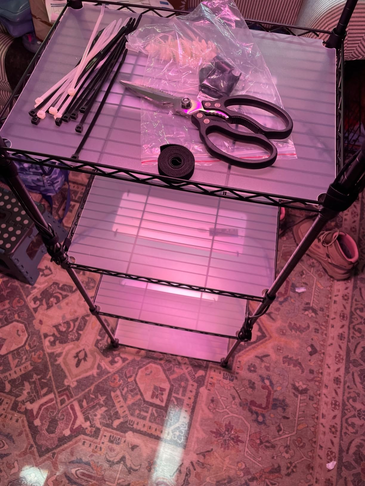 Barrina CX83 Plant Stand with Grow Lights, 6-Tier Shelf, 15.7x11.8x70.9IN customer photo 2