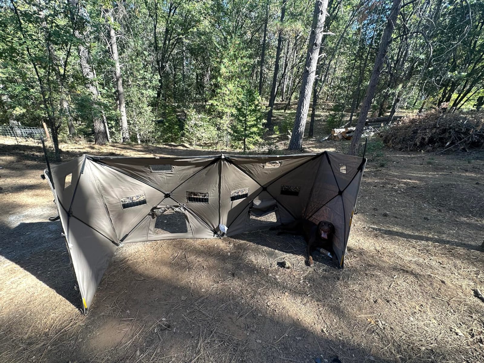 TIDEWE Duck Hunting Blind, Portable Duck Panel Blind, Next Evos Camo customer photo 1