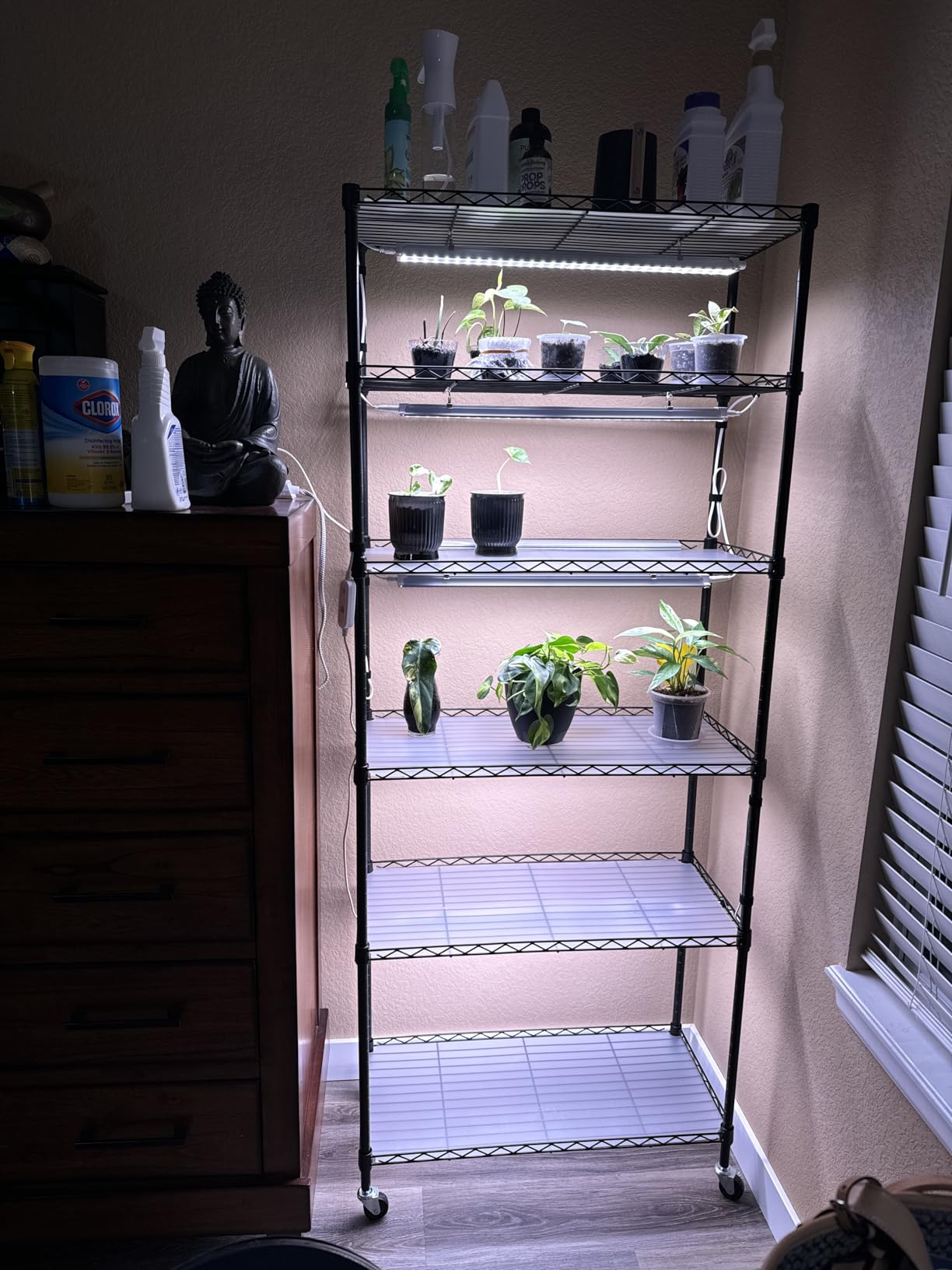 Barrina CX2 Plant Stand with Grow Lights, 6-Tier, 150W, 29.5x13.8x71IN customer photo 1