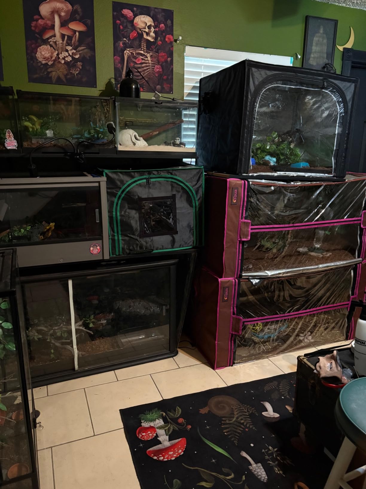 2x2 Grow Tent, 24