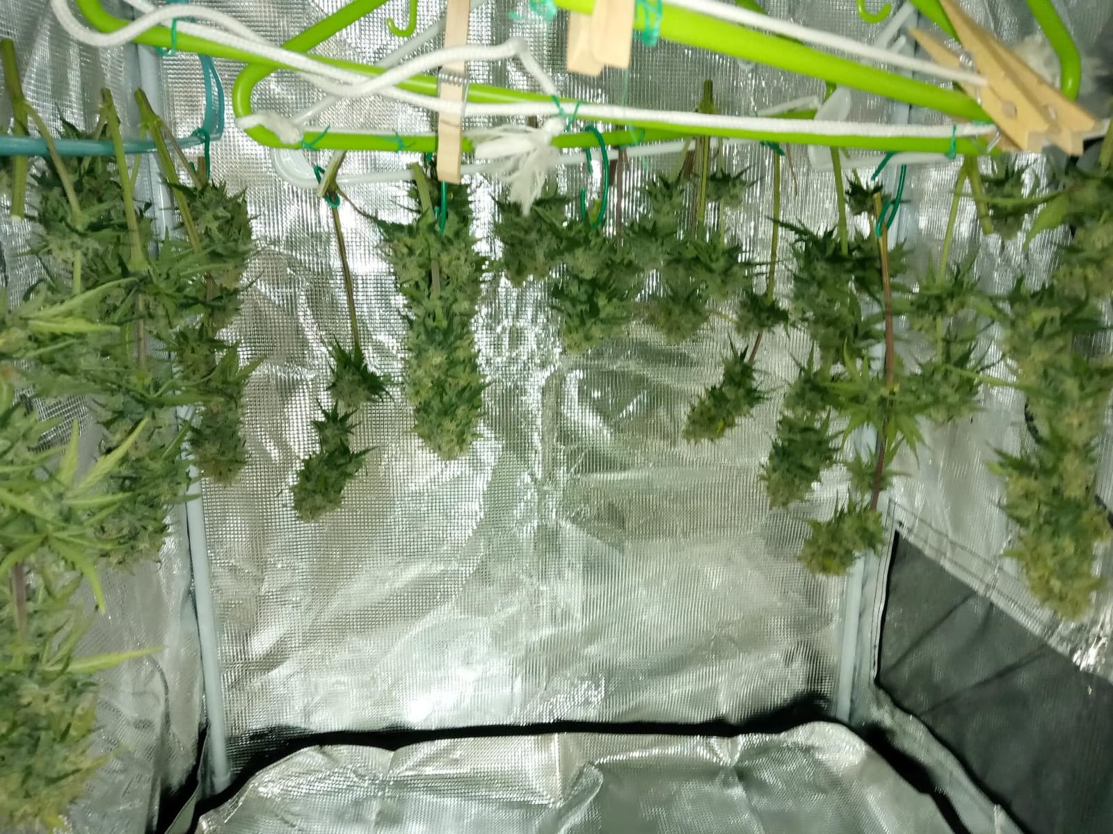 2x2 Grow Tent, 24