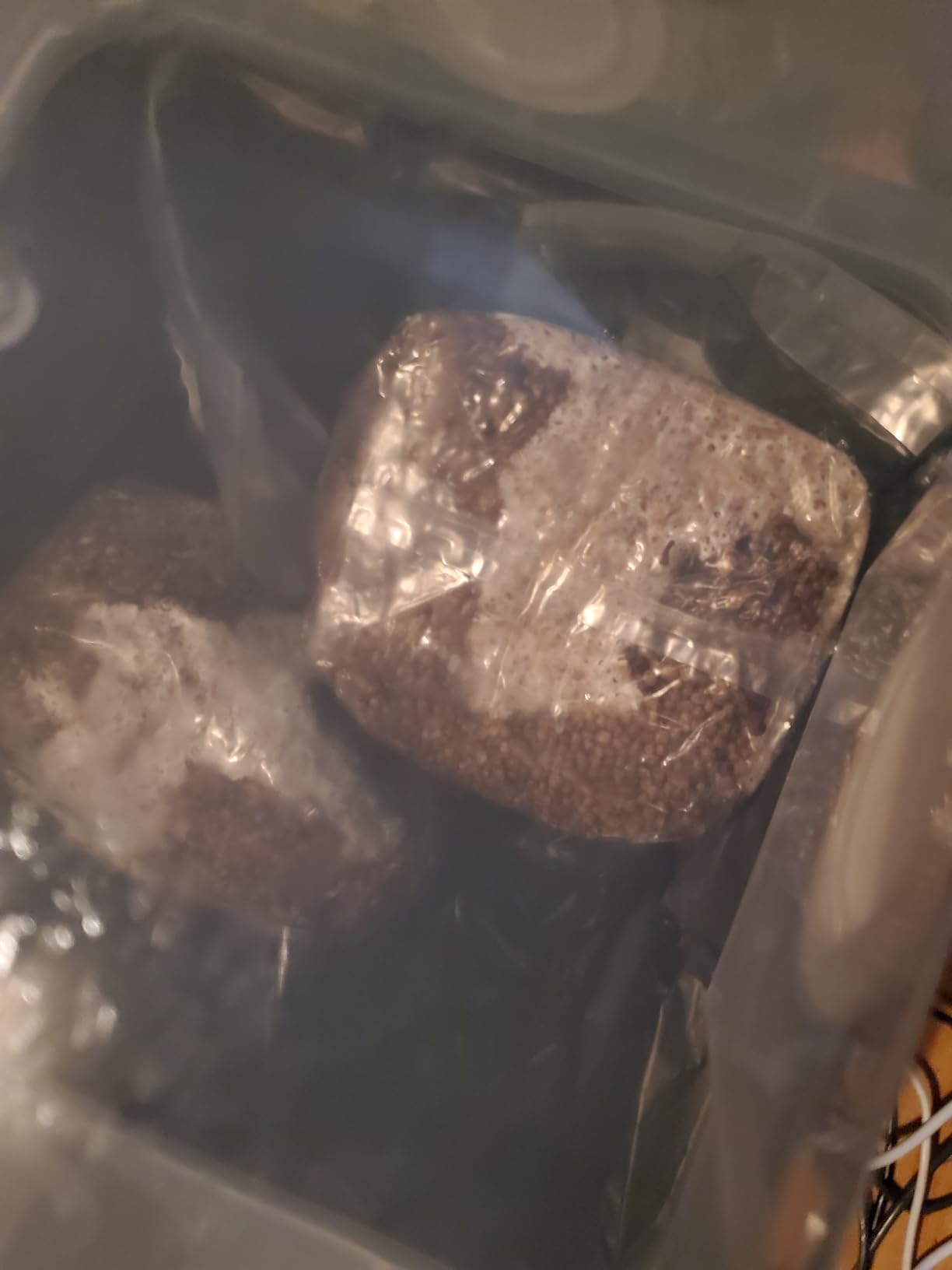 Myco Labs Grower's Select Mushroom 48Q Monotub Fruiting Chamber with Filter Disks and Liner customer photo 1