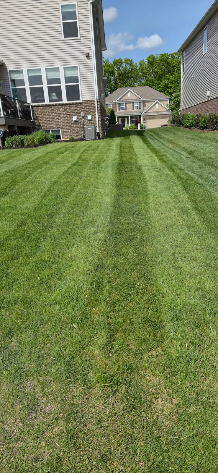 Greenworks 80V 25in Self-Propelled Lawn Mower, 4.0 Ah Battery and Charger customer photo 1