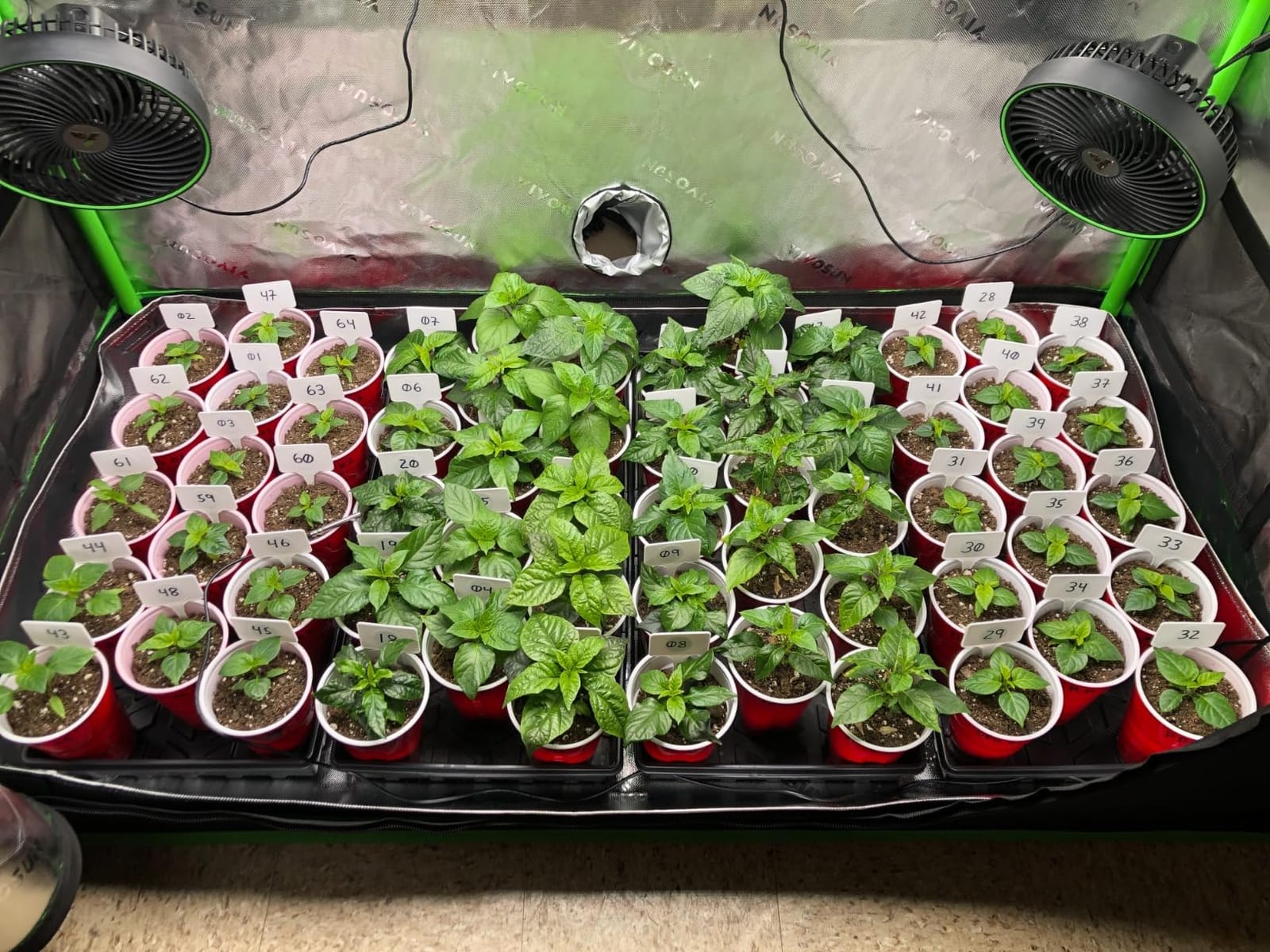 VIVOSUN 3x3 Smart PRO Grow Tent Kit WiFi Automatic Control Grow System customer photo 2