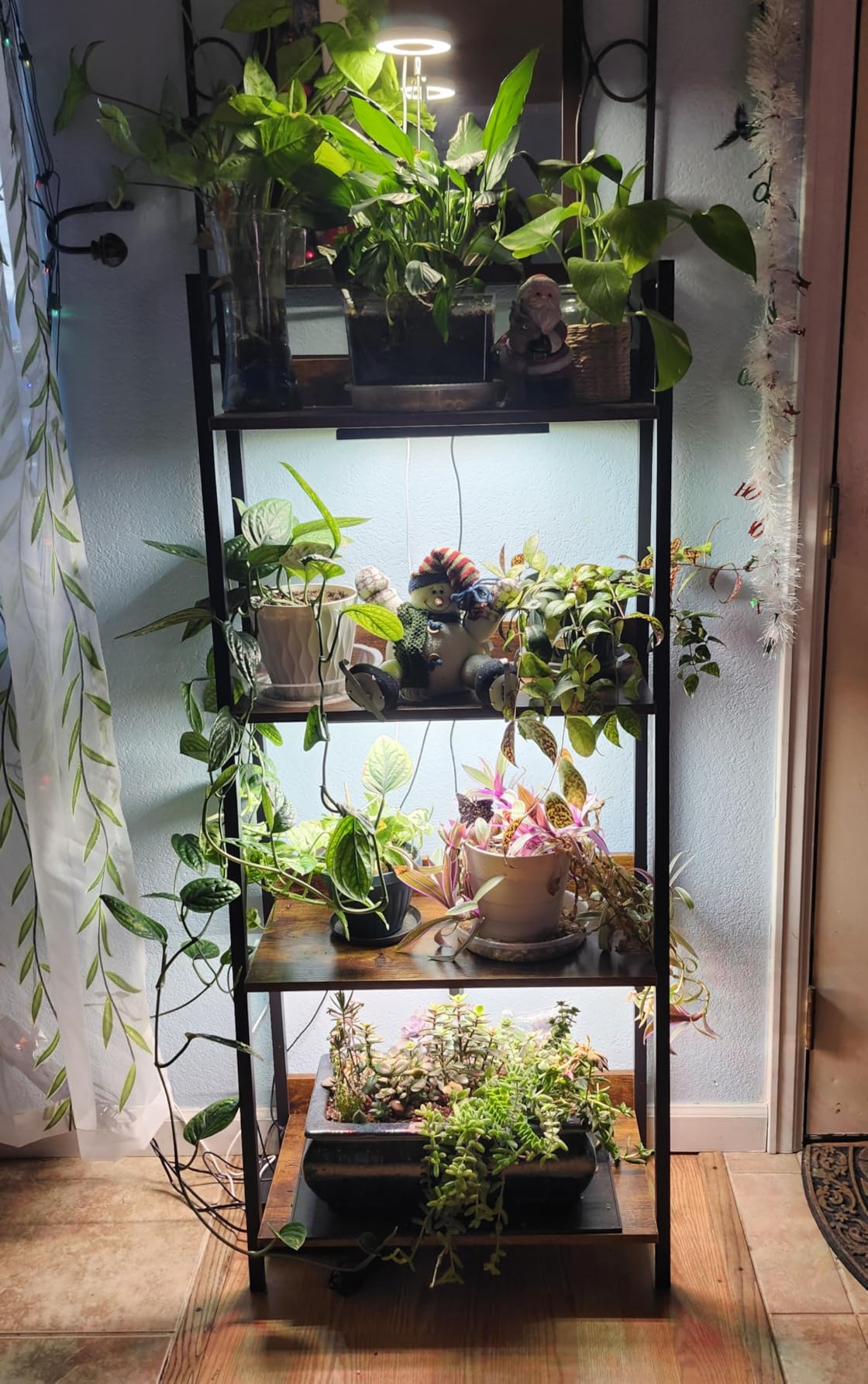 LBW Desk Grow Light, 214 LEDs Full Spectrum Plant Light for Indoor Plants customer photo 1