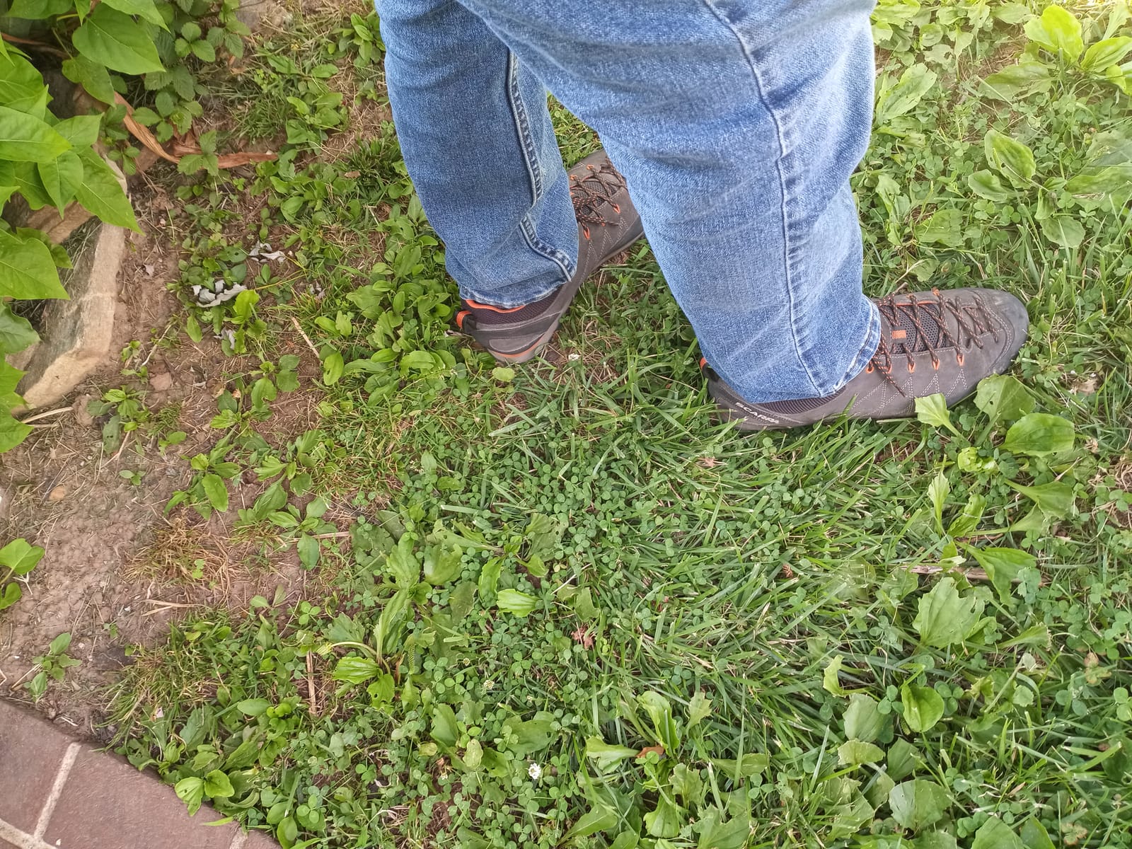 SCARPA Men's Crux Approach Shoes customer photo 1