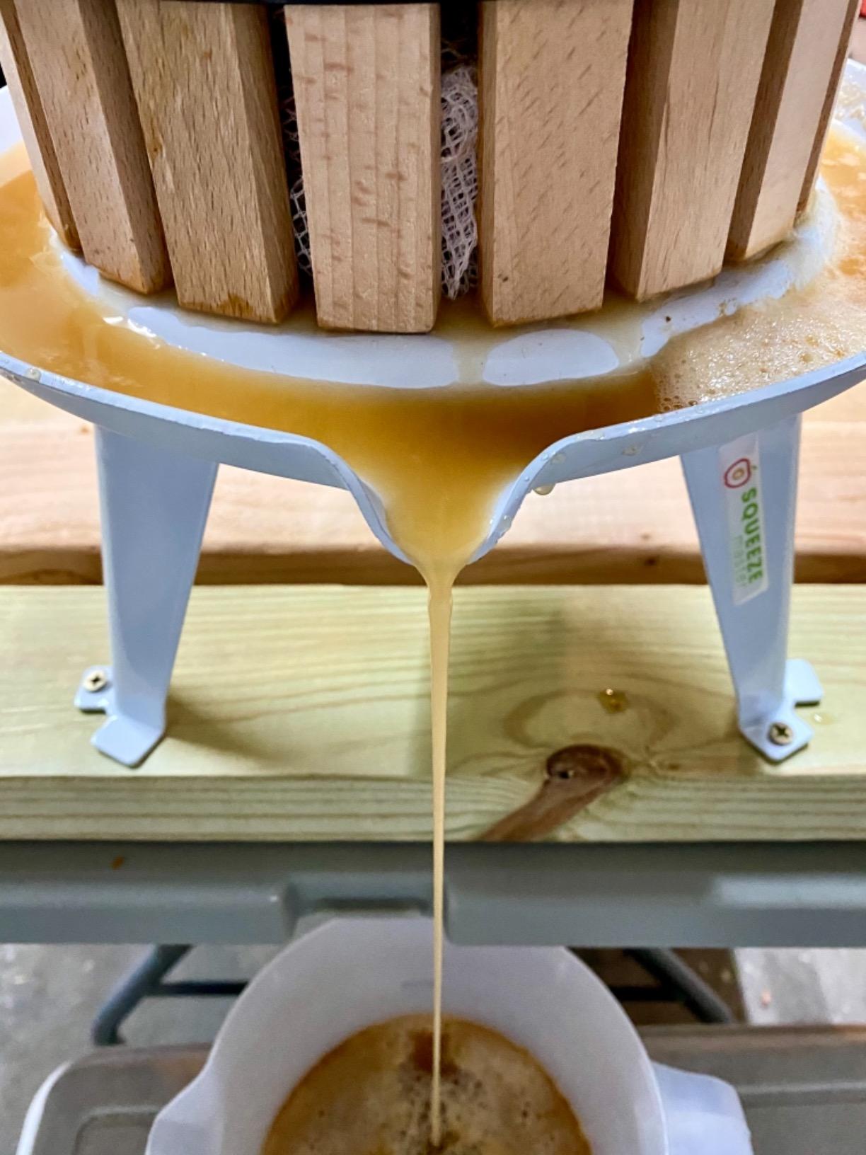 SQUEEZE master Fruit Apple Cider Wine Classic Press-Blue-1.6 Gallon/6L-Solid Wood Basket-Vintage traditional juicer customer photo 1