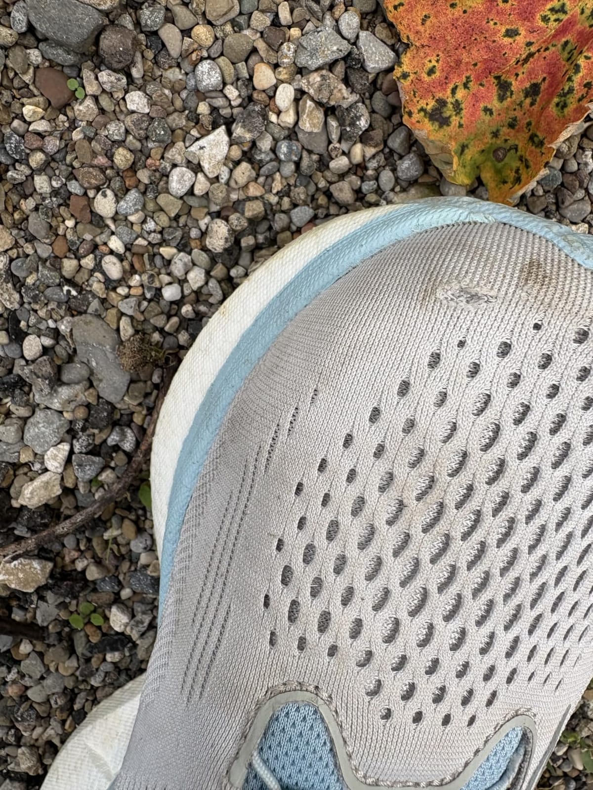 Saucony Women's Ride 18 Sneaker customer photo 1