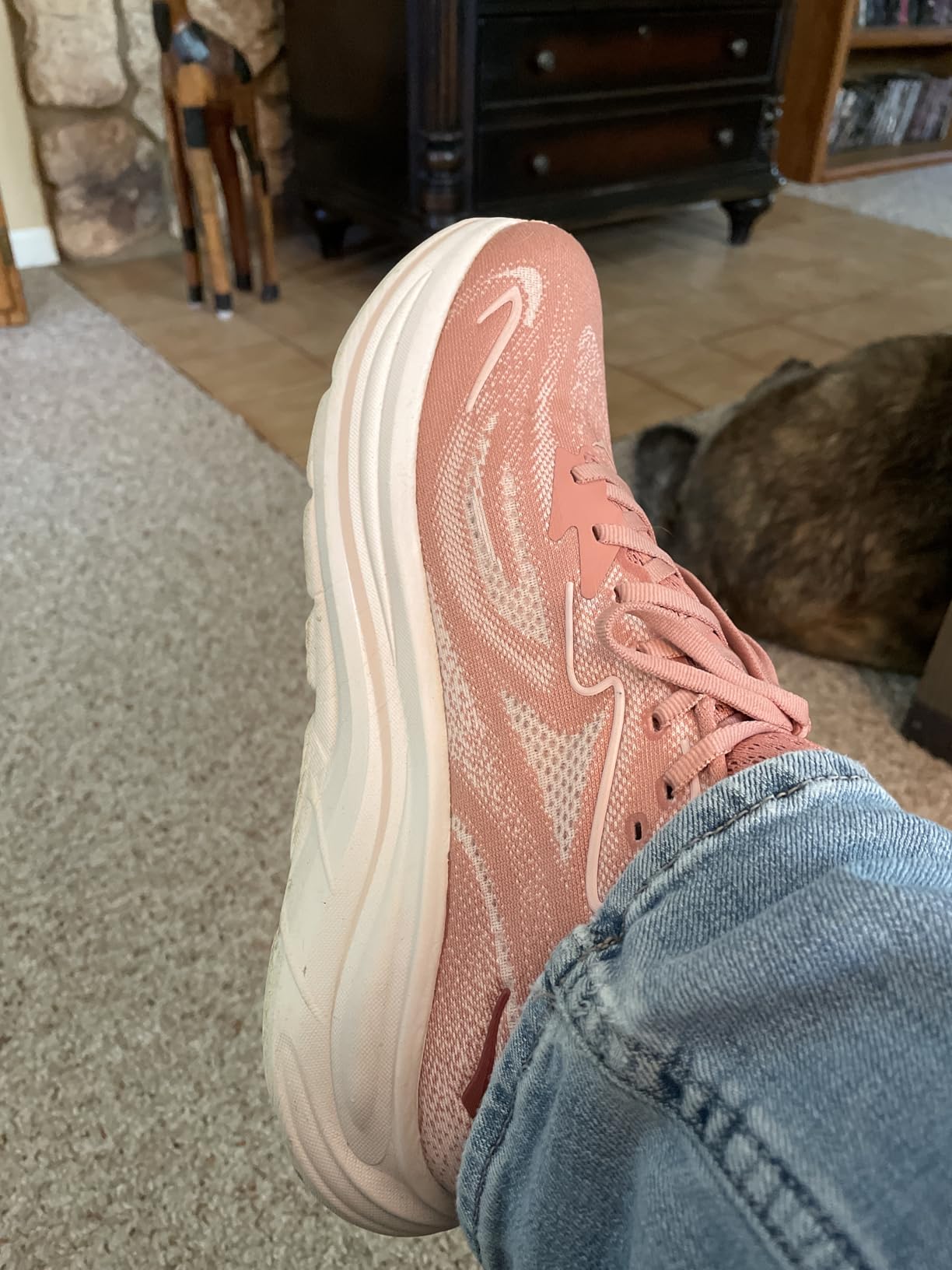 Hoka Women's Clifton 10 Running Shoe customer photo 2
