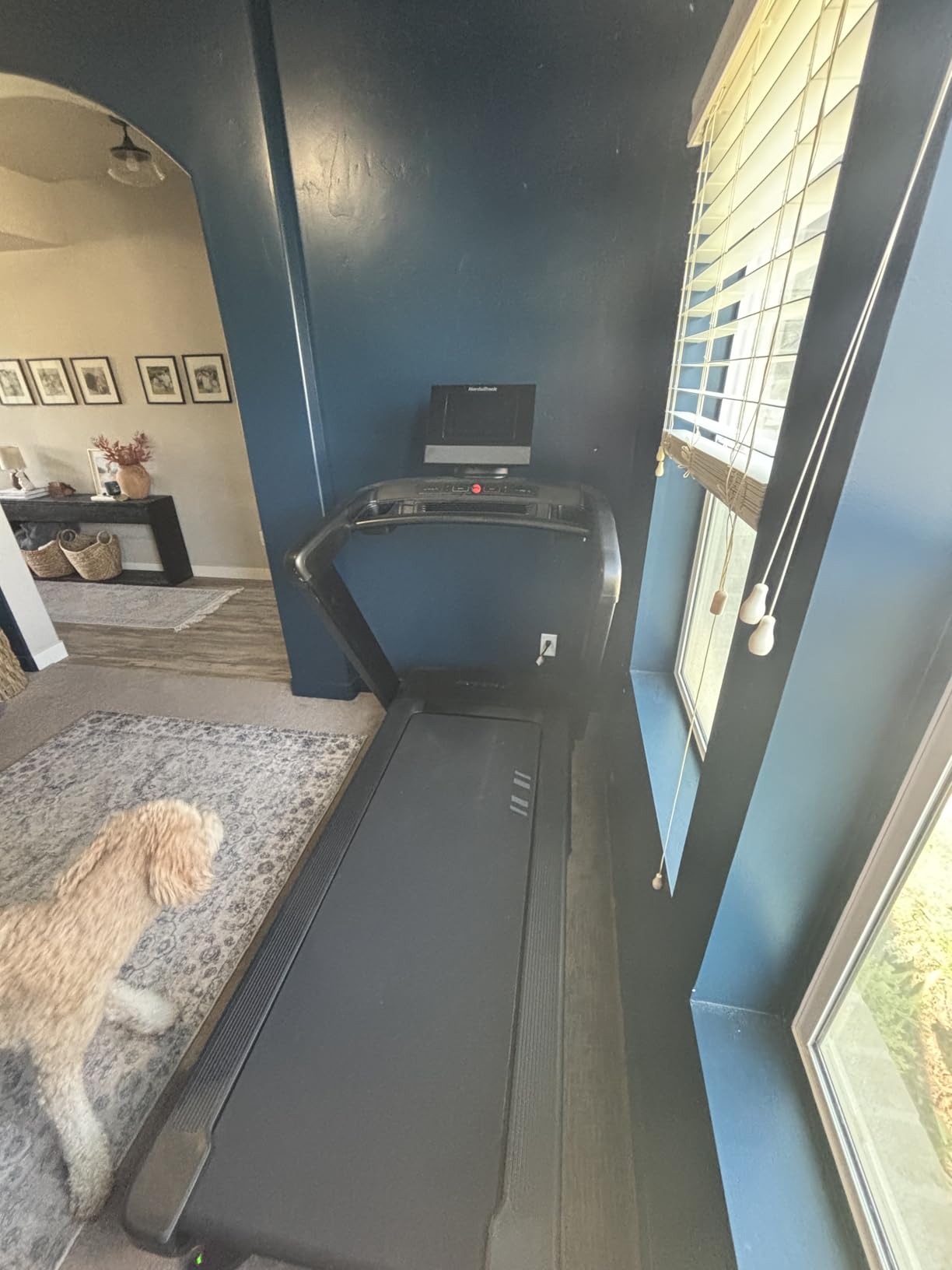 NordicTrack Commercial Series Treadmills for Home | 1250, 1750, 2450 customer photo 2