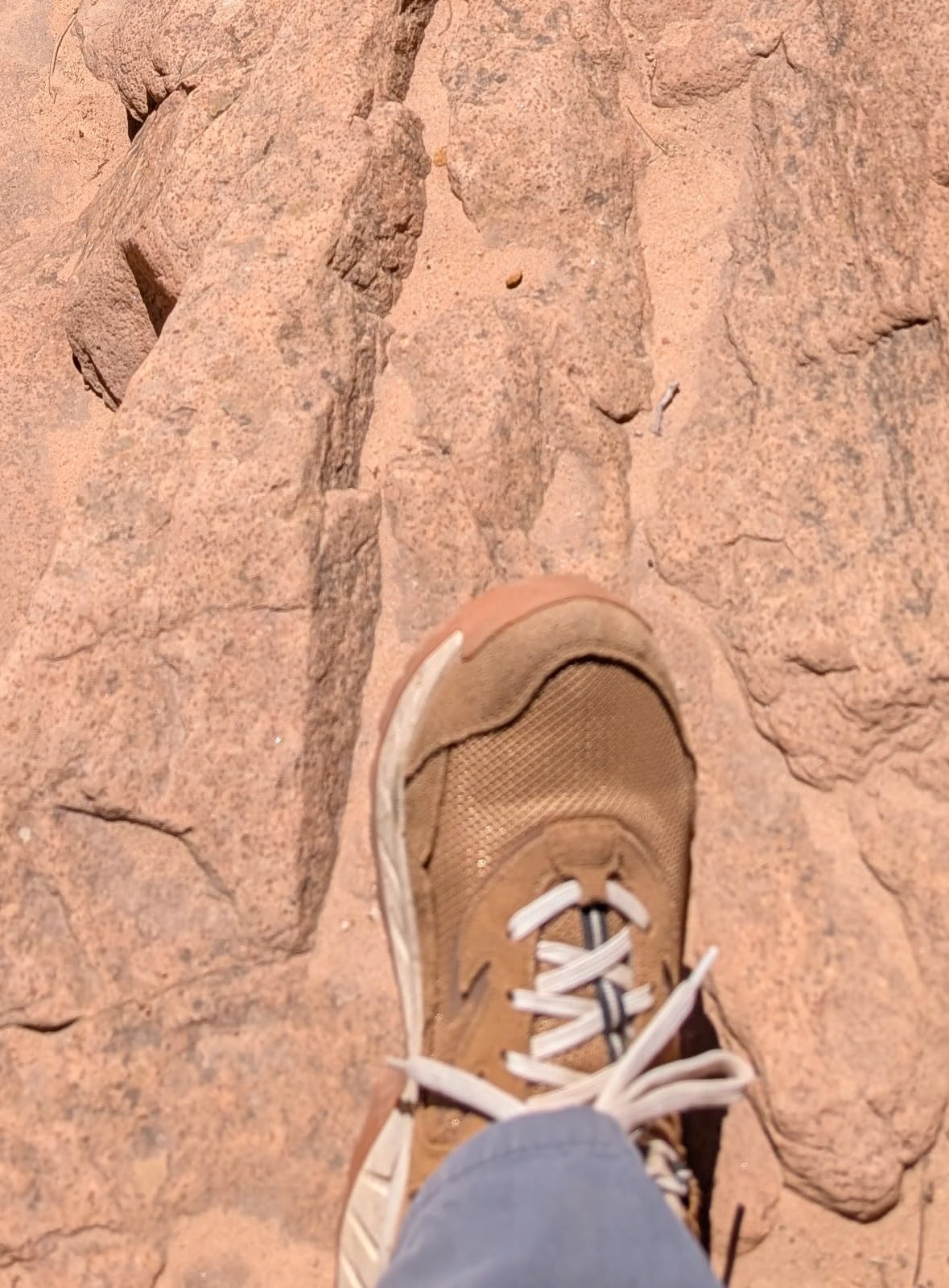 KEEN Hightrail Vented Hiking Shoes customer photo 1