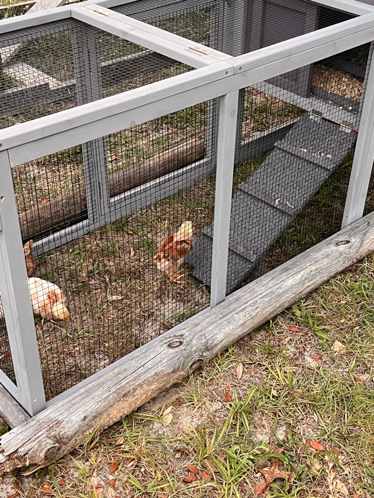 Mobile Chicken Coop for 6-8 Hens, All-Steel Frame Hen House with Wheels Portable Poultry Cage, Metal Run & Nesting Box Duck Coop Large customer photo 2