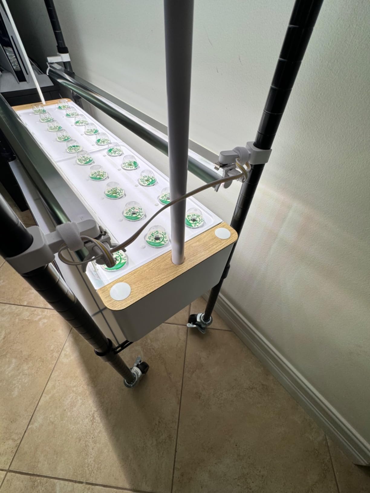 Ahopegarden Hydroponics Growing System Indoor Garden, 44 Pods Plant Herb Garden Germination Kit with LED Grow Light, 20L Double-Layer Large Capacity Hydrophonic Planter Grower for Vegetable Fruit customer photo 2