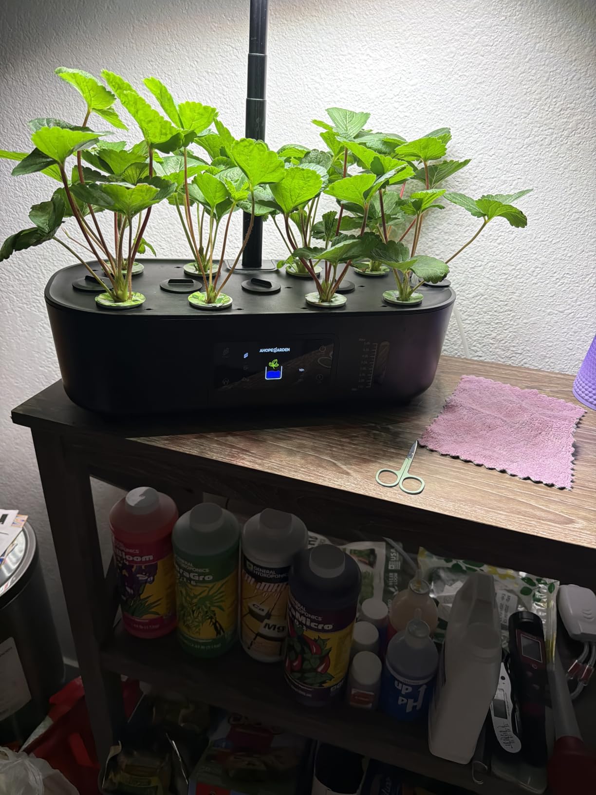 Ahopegarden Hydroponics Growing System Kit: 12 Pods with LCD Control Panel customer photo 2