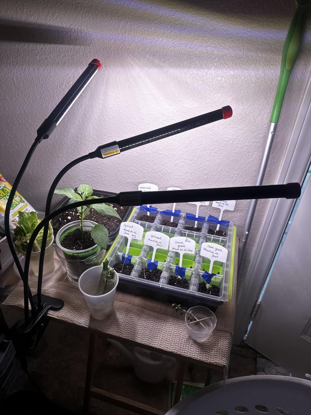 FECiDA 36W Strong Clip Grow Light for Indoor Plant, Seed Starting, Seedling customer photo 2