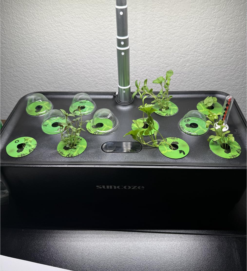 SUNCOZE Hydroponics Growing System, Compact 12 Pods Indoor Garden, Black customer photo 1