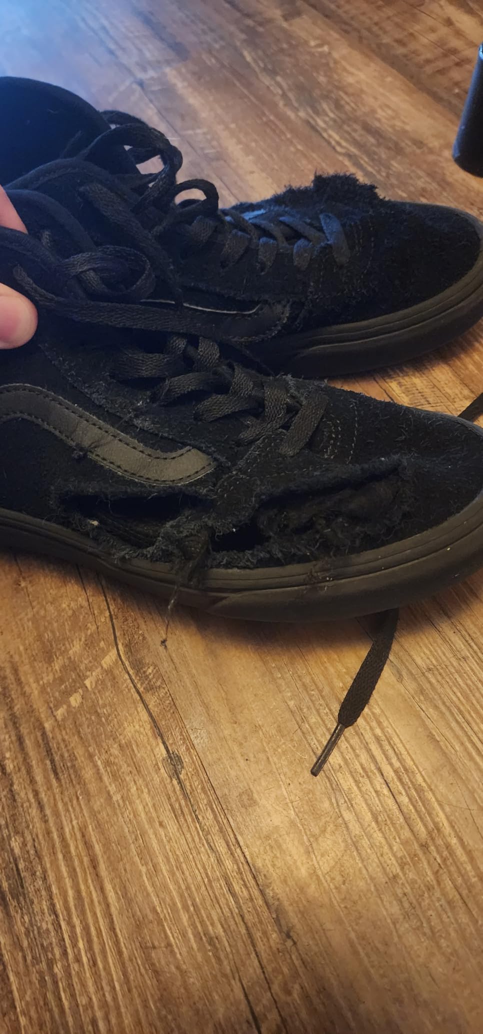 Vans Men's Ashwood Hi Decon customer photo 2