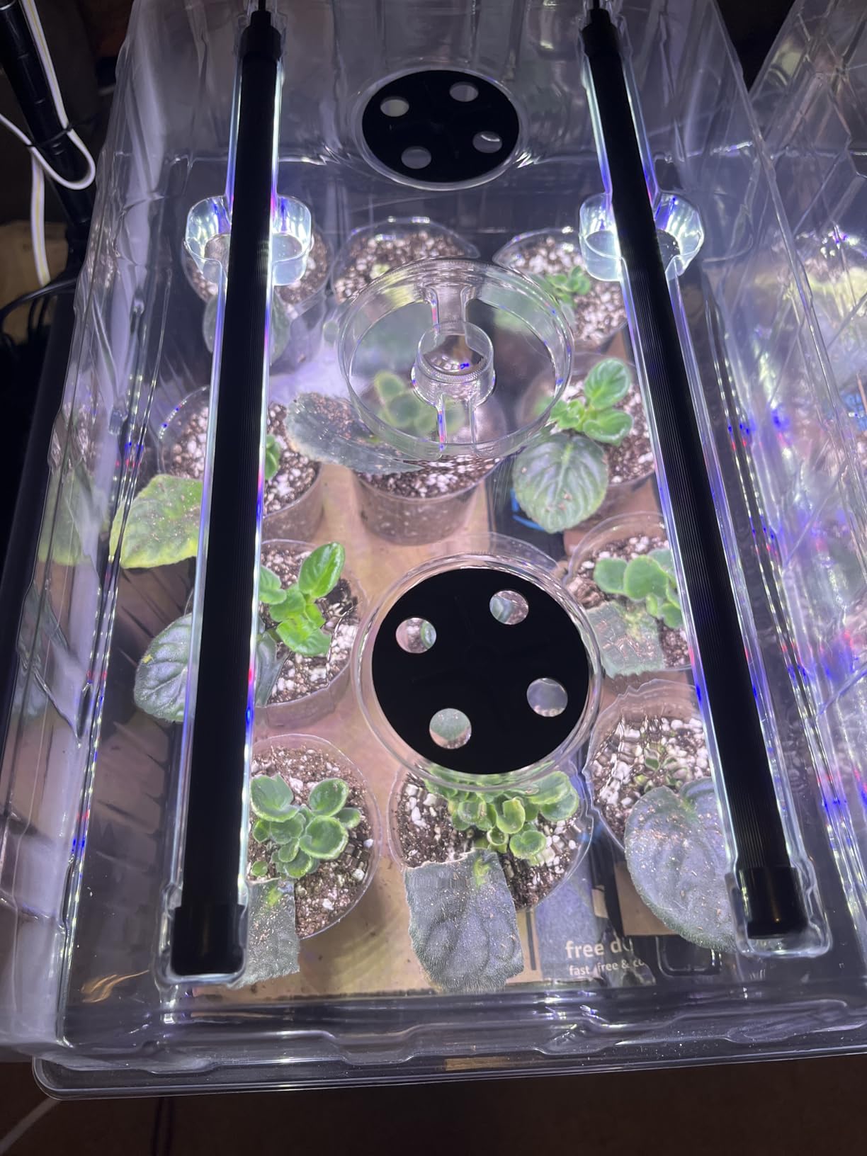 Patigrow 120-Cell Self-Watering Seed Starter Tray with Grow Light, Seed Starter Kit with 4.07” Humidity Dome, Indoor Seedling Starter Tray, Seed Starting Trays for Plant Germination, Seeds Growing customer photo 2