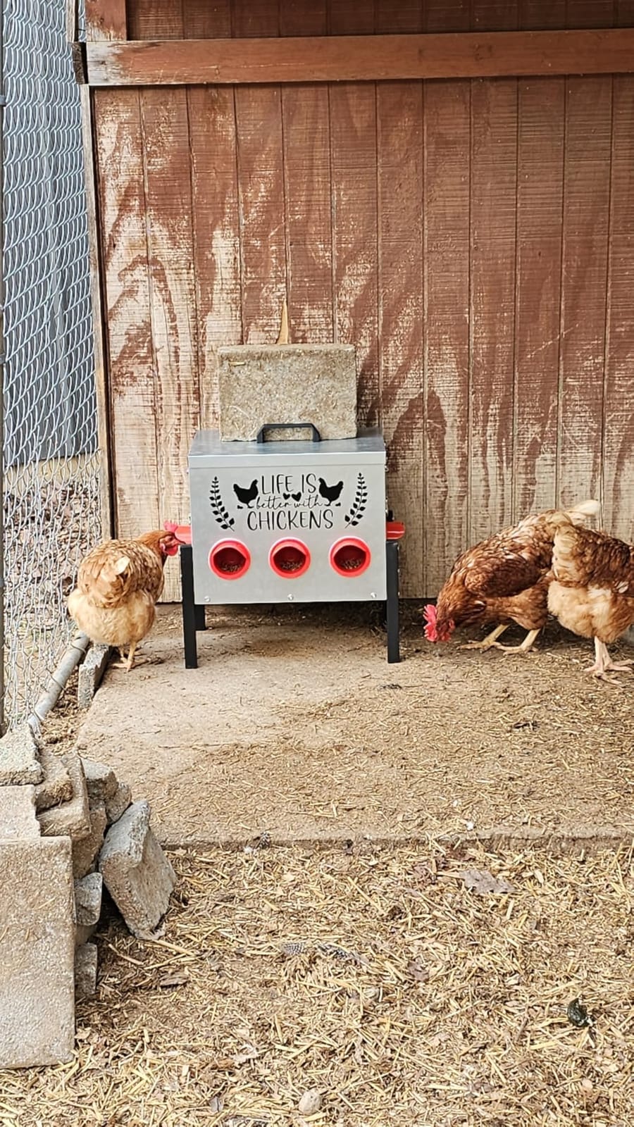 TGEYD 50LB Large Automatic Chicken Feeder – 8 Feeding Ports, No-Waste Poultry Feeder, with Adjustable Legs & Locking Lid customer photo 1