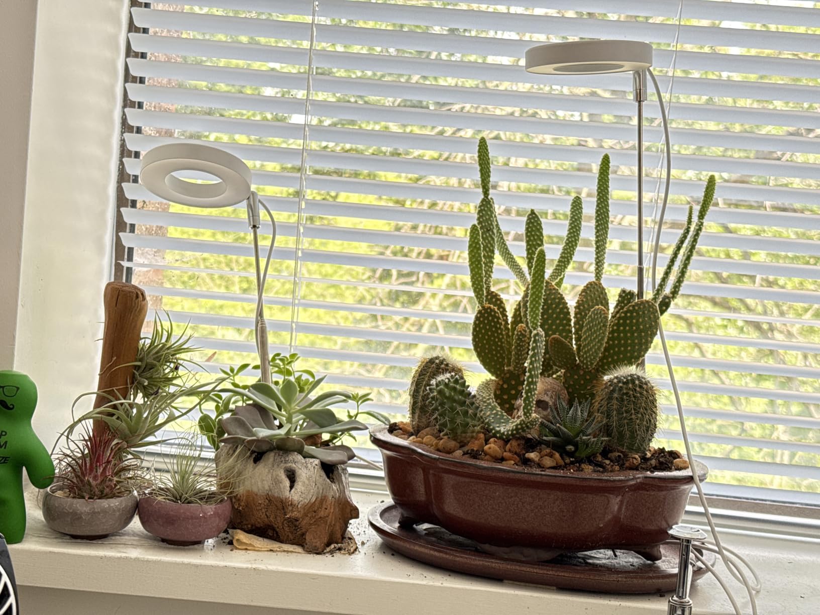 Grow Lights for Indoor Plants Small Potted - Full Spectrum, Auto 3/9/12H Timer, 10-Level Dimming & Adjustable Height - Compact Grow Light for Succulents, Herbs, Foliage in Home/Office (White,1PACK) customer photo 1