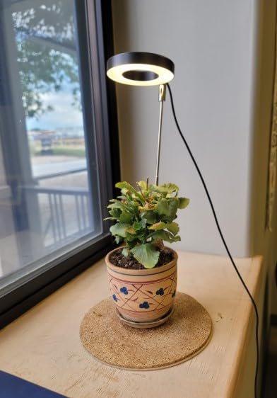 Grow Lights for Indoor Plants Small Potted - Full Spectrum, Auto 3/9/12H Timer, 10-Level Dimming & Adjustable Height - Compact Grow Light for Succulents, Herbs, Foliage in Home/Office (White,1PACK) customer photo 2