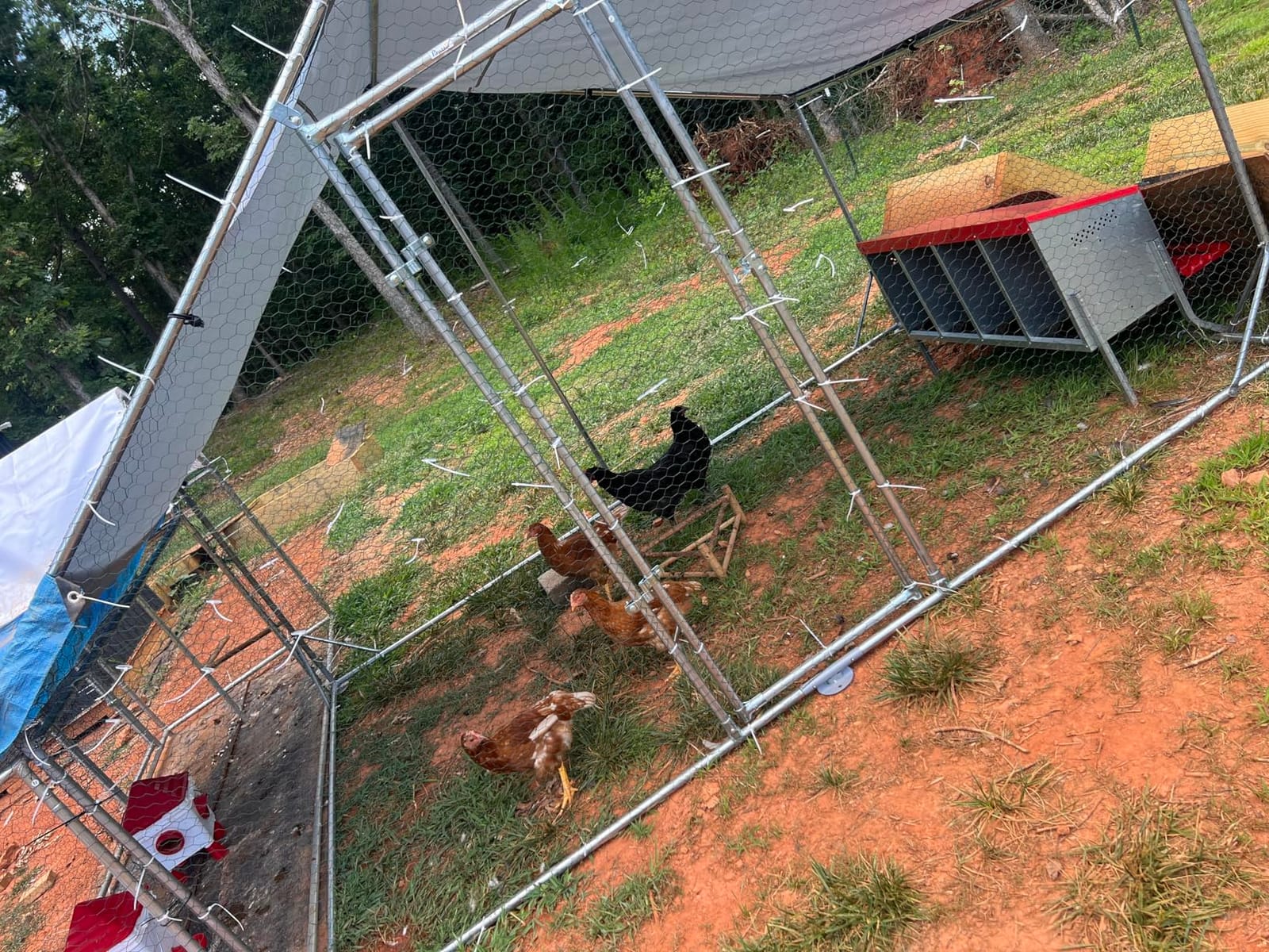 PawHut Large Chicken Coop w/Waterproof Anti-UV Cover 33' x 10' x 6.4' customer photo 1