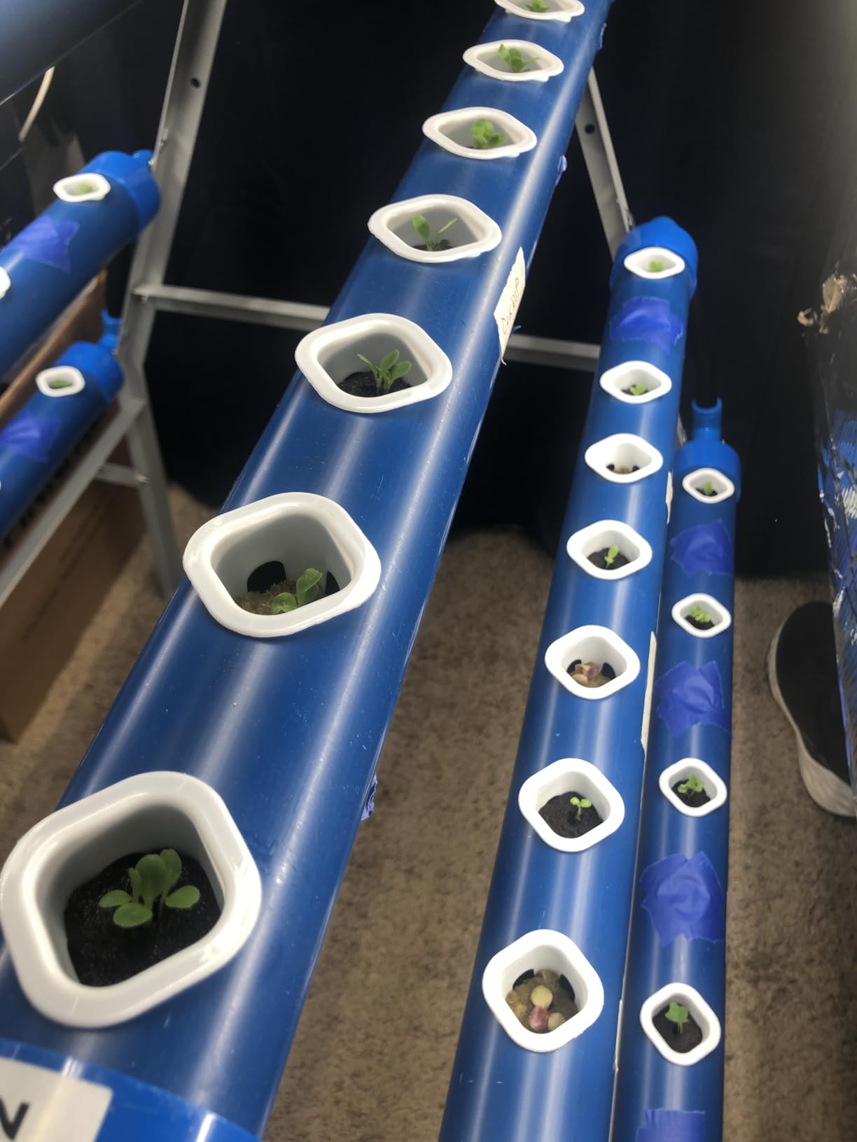 A-Type 72 Plant Sites Hydroponics Growing System Kit with Light Blocking customer photo 1