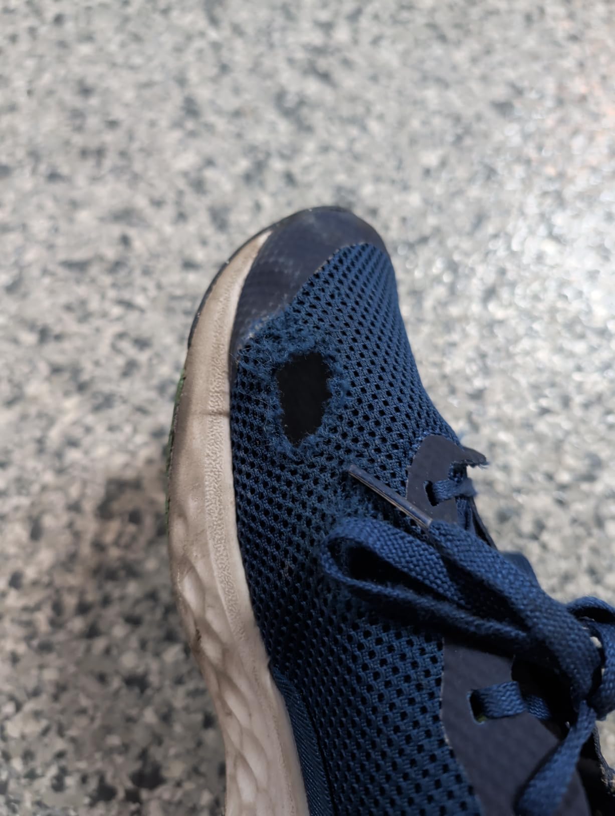New Balance Kids Fresh Foam Arishi V4 Running Shoe (Little Kid) customer photo 2
