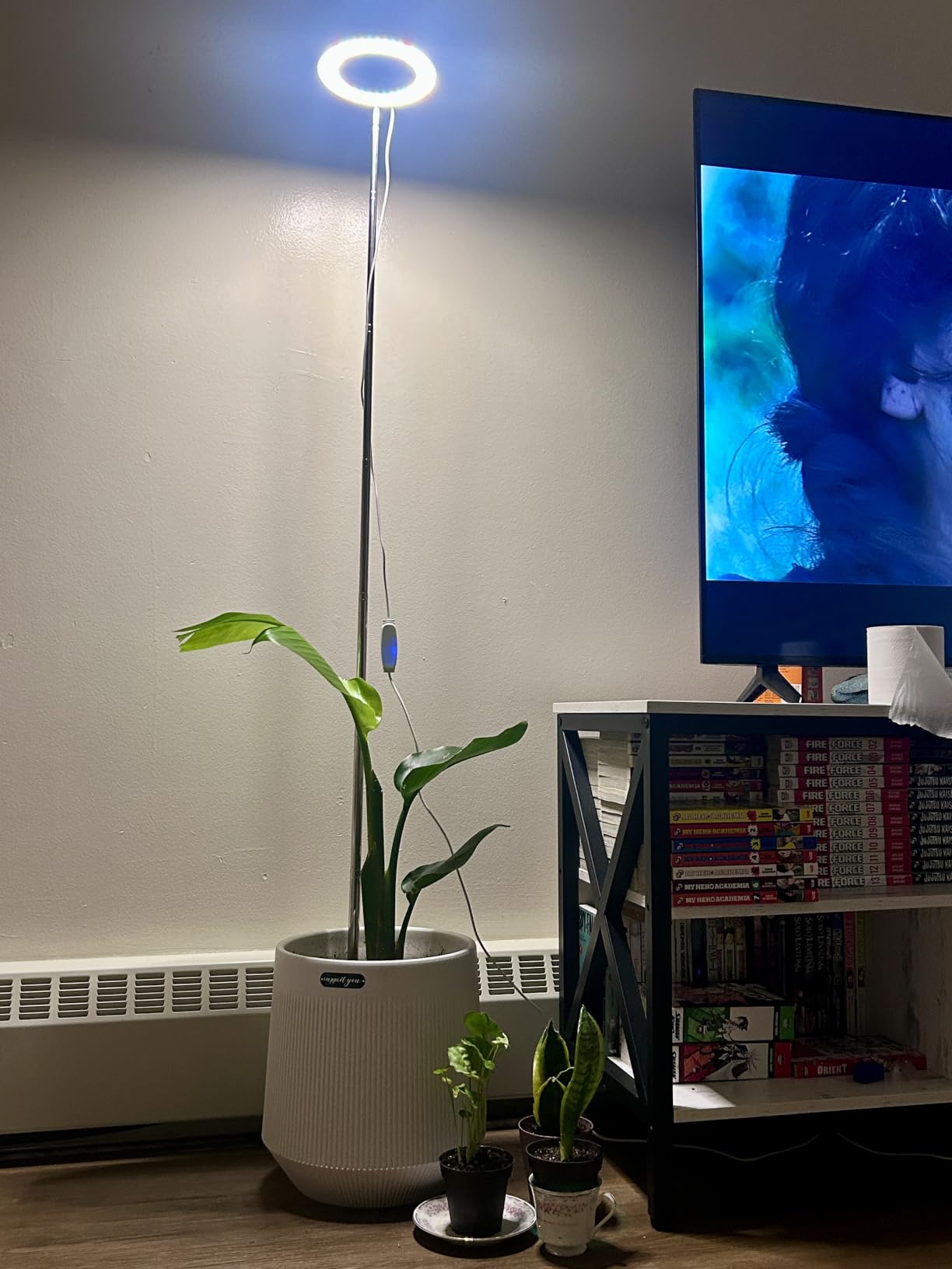 Kullsinss 6.3in Grow Lights for Indoor Plants, Full Spectrum Plant Light customer photo 1