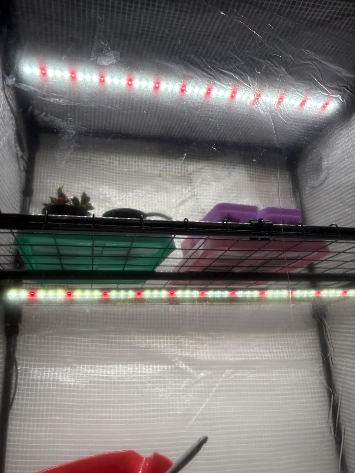 Mushroom Grow Tent with 6500K LED Light & Timer, 4-Tier Shelves customer photo 1