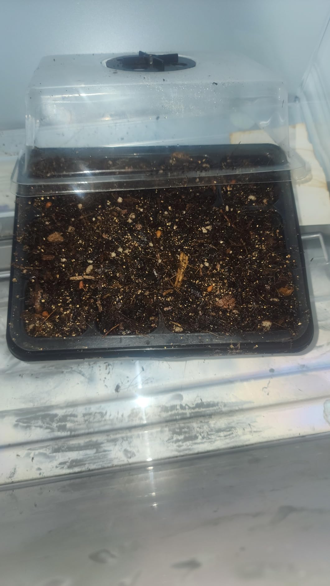 ZeeDix 6 Set Seed Starter Tray Kits with 90 Pack Coco Coir Pellets customer photo 2