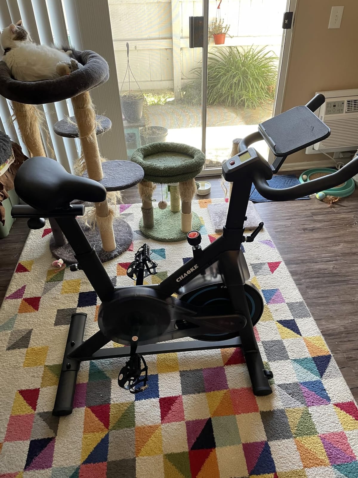 Exercise Bike, CHAOKE Quiet Adjustable Magnetic Resistance Stationary Bike for Home Cardio with App Compatible, 300LB Weight Capacity Indoor Cycling Bike with Comfortable Seat & Digital Display customer photo 2