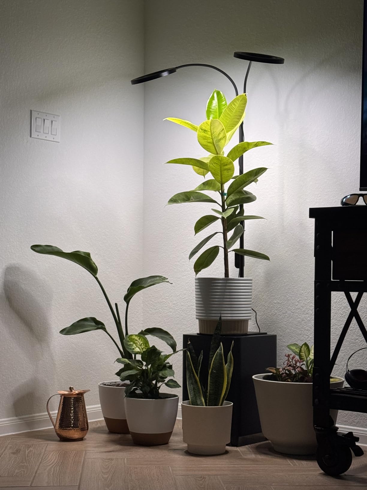 48W Grow Lights for Indoor Plants, Full Spectrum LED Plant Light with Stand customer photo 1
