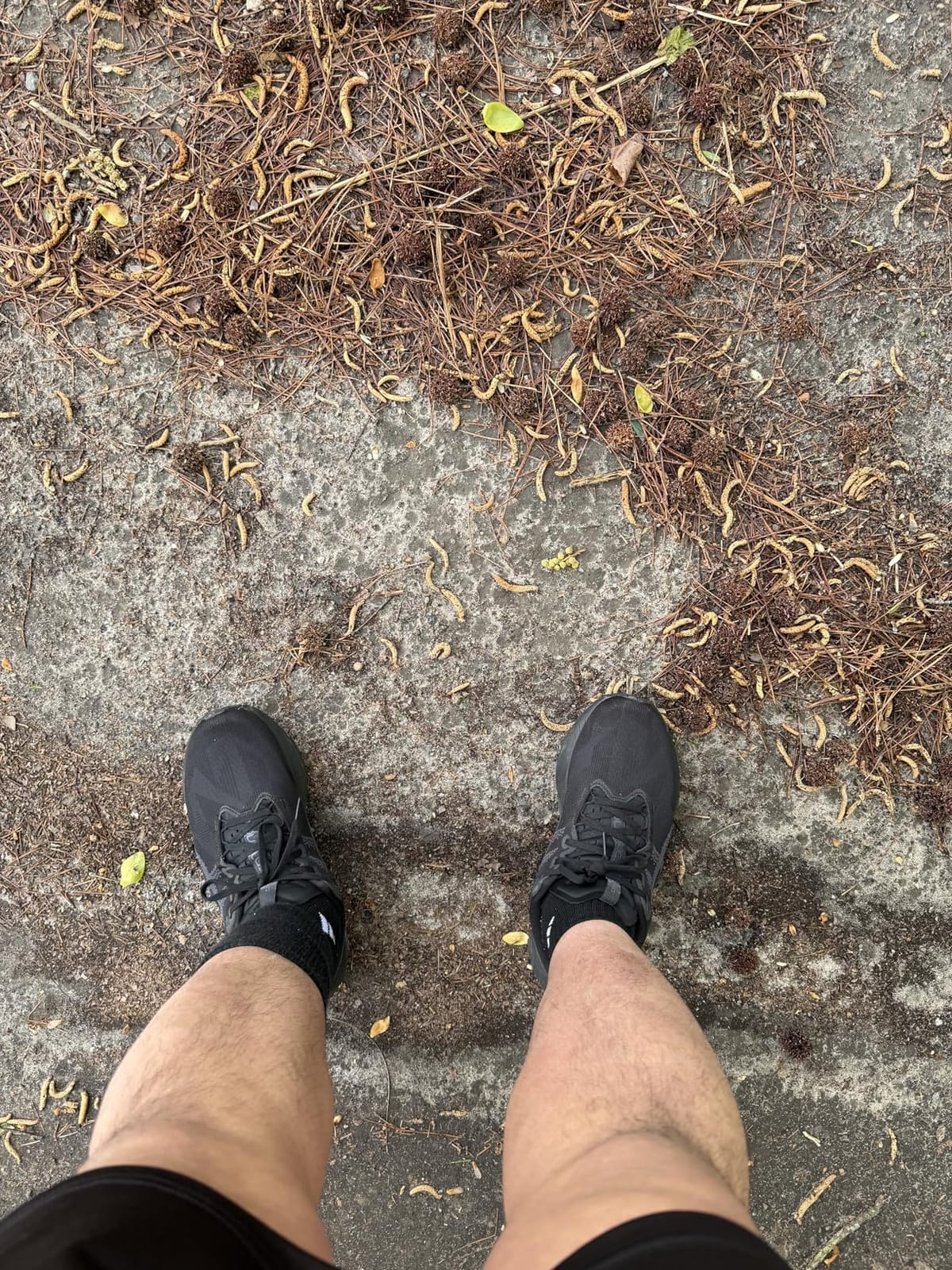 ASICS Men's NOVABLAST 5 Running Shoes customer photo 2