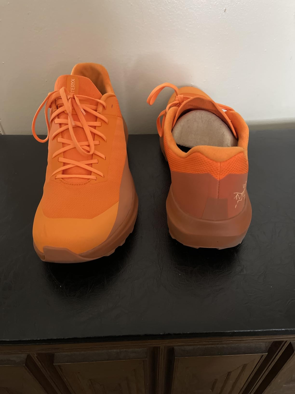 Arc'teryx Men's Norvan LD 4 Shoe (Long Distance Trail) customer photo 1