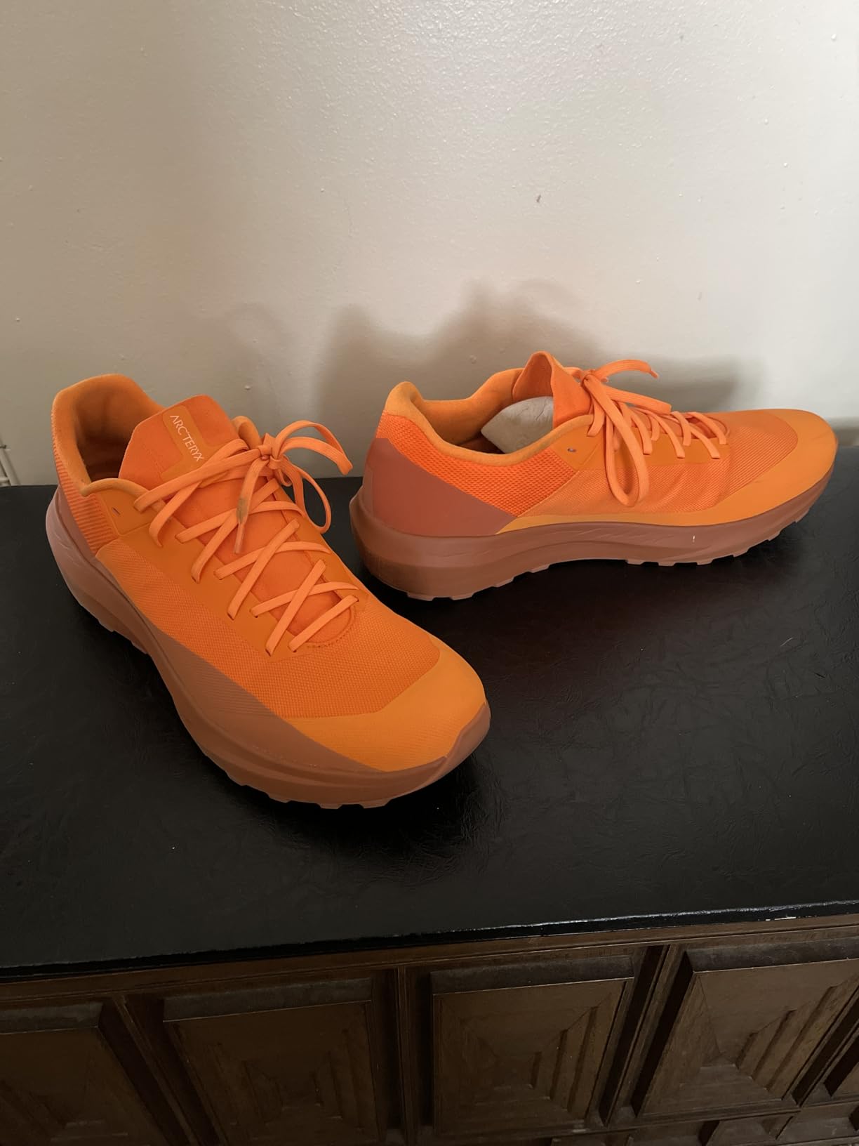Arc'teryx Men's Norvan LD 4 Shoe (Long Distance Trail) customer photo 2