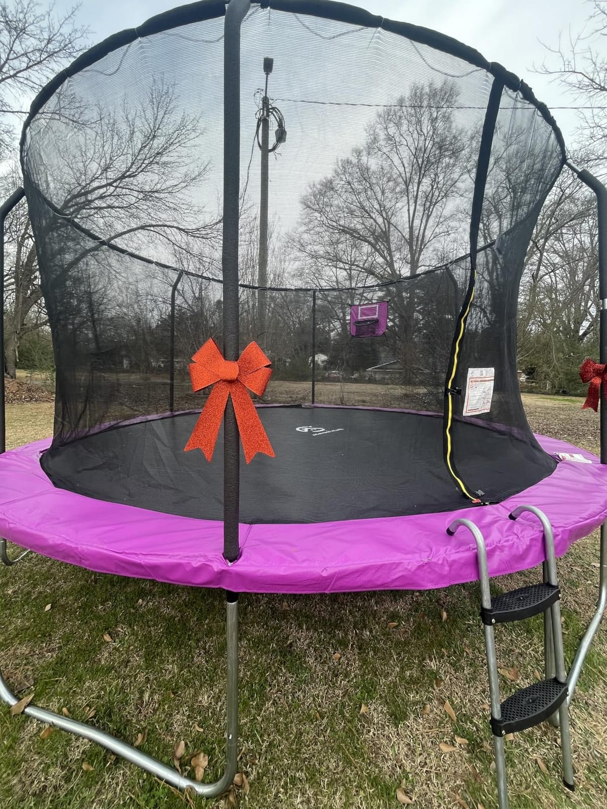 8FT 10FT 12FT 14FT Outdoor Trampoline with Basketball Hoop and LED Lights, ASTM Approved Recreational Trampolines for Kids and Adults with Net and Ladder customer photo 1