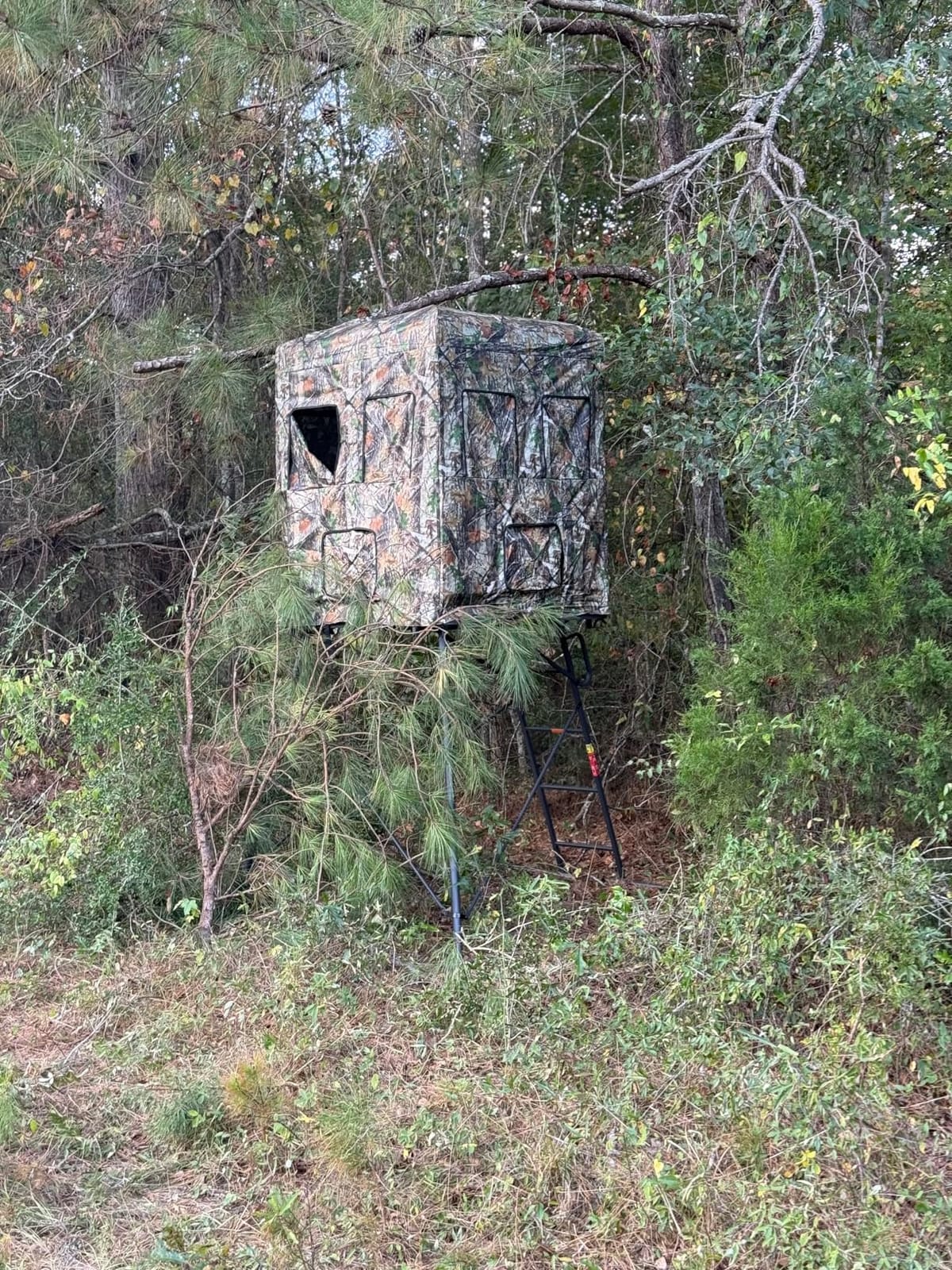 5/6FT Hunting Stand with Blind, 1-2 Man 4' x 4' Platform Deer Stand Tripod customer photo 1