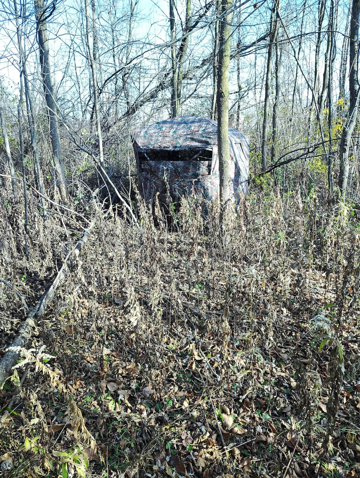 TLC Sport Hunting Blind, 360° See Through Ground Blind for 2-4 Person customer photo 2