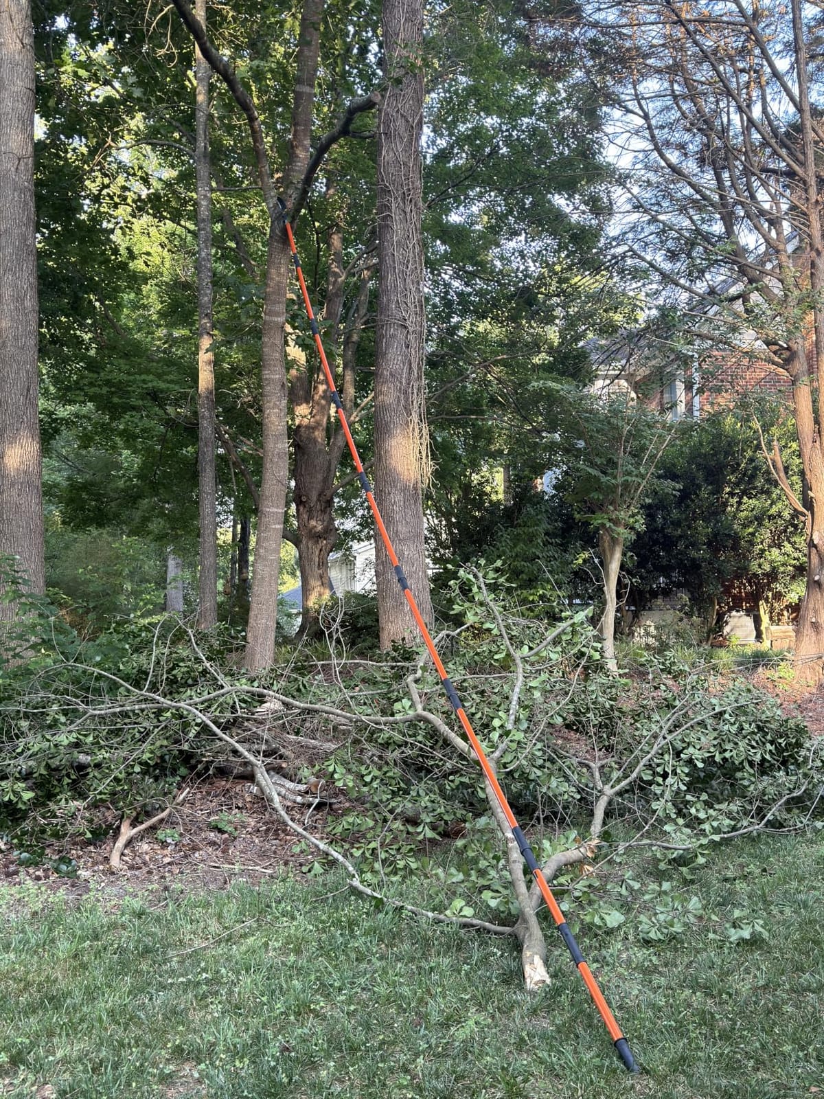 VEVOR Manual Pole Saw, 3.87-27 ft Extendable Pole Tree Pruner with Scissors, Sharp 65Mn Steel Blade, Lightweight Fiberglass Handle Pole, for High Branch Trimming, Pruning Tool for Palms and Shrubs customer photo 2