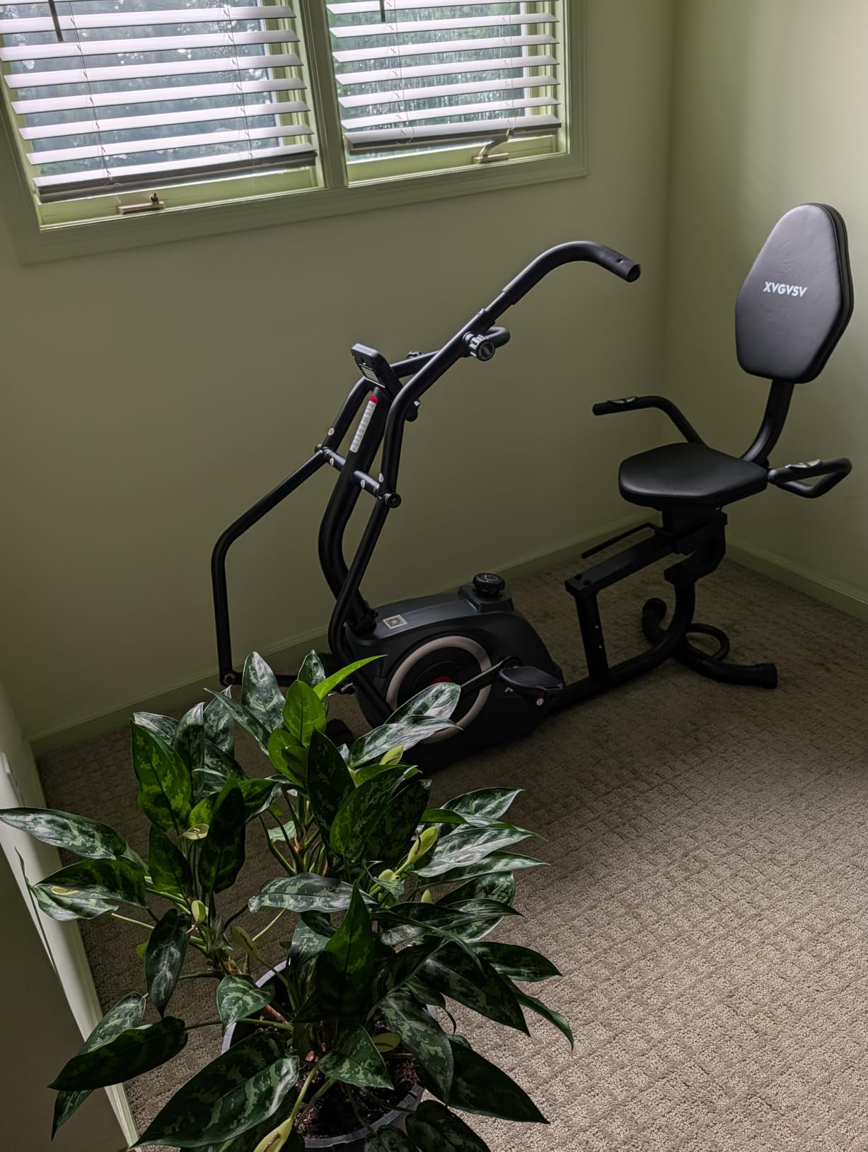 Recumbent Exercise Bike, Stationary Bike for Home with Arm Exercise | Recumbent Bike with 400LB Whisper-Quiet 16 Levels Magnetic Resistance Heart Rate and Multi-Function LCD Comfortable Seat customer photo 2