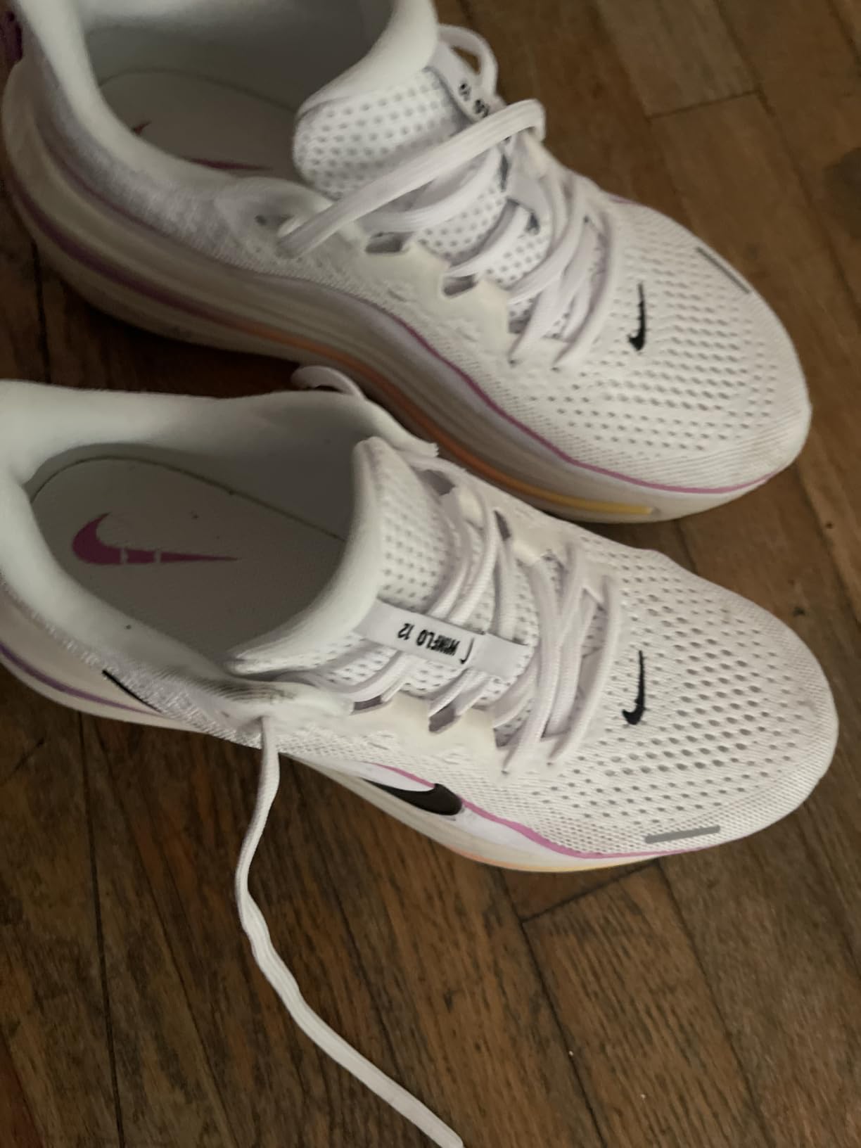 Nike Women's Winflo 12 Road Running Shoes customer photo 1