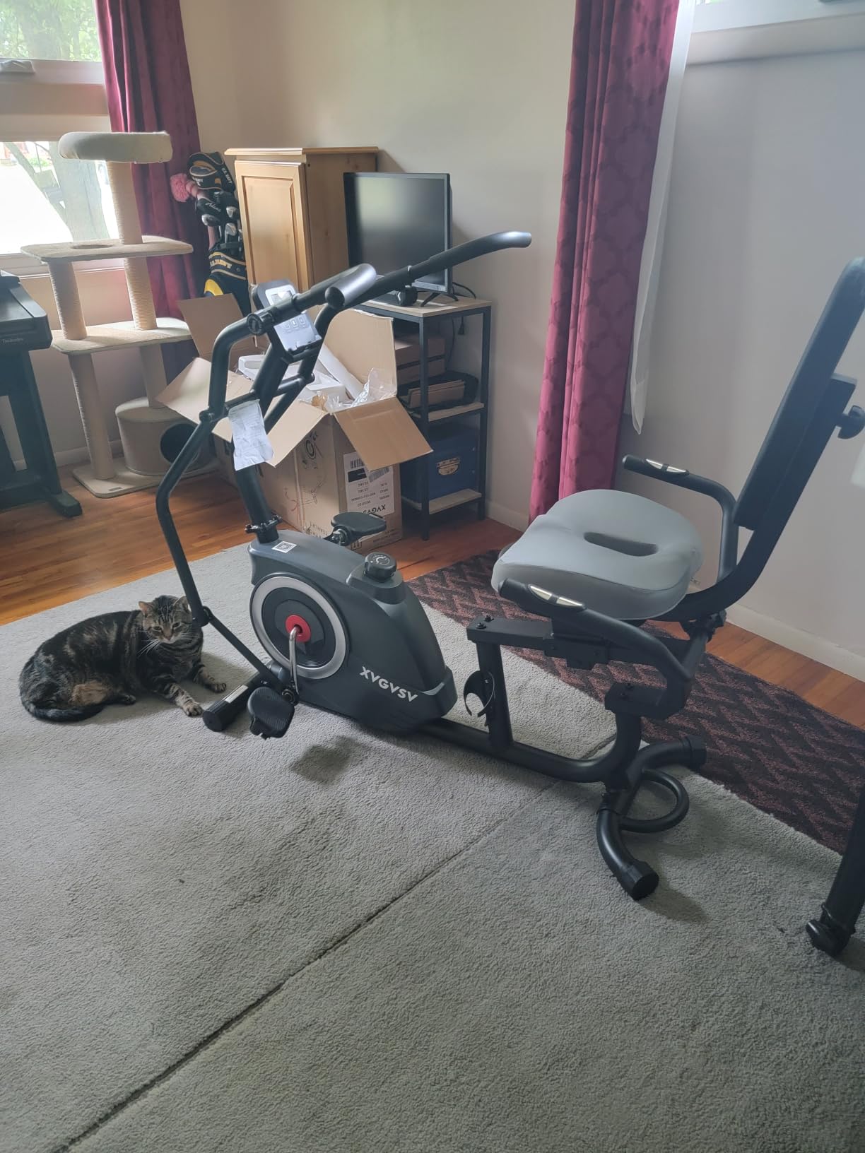 Recumbent Exercise Bike, Stationary Bike for Home with Arm Exercise customer photo 1