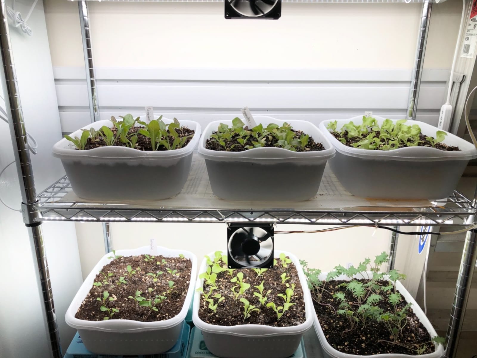 JESLED Plant Shelf with Grow Light, 29.5x13.8x70IN customer photo 2