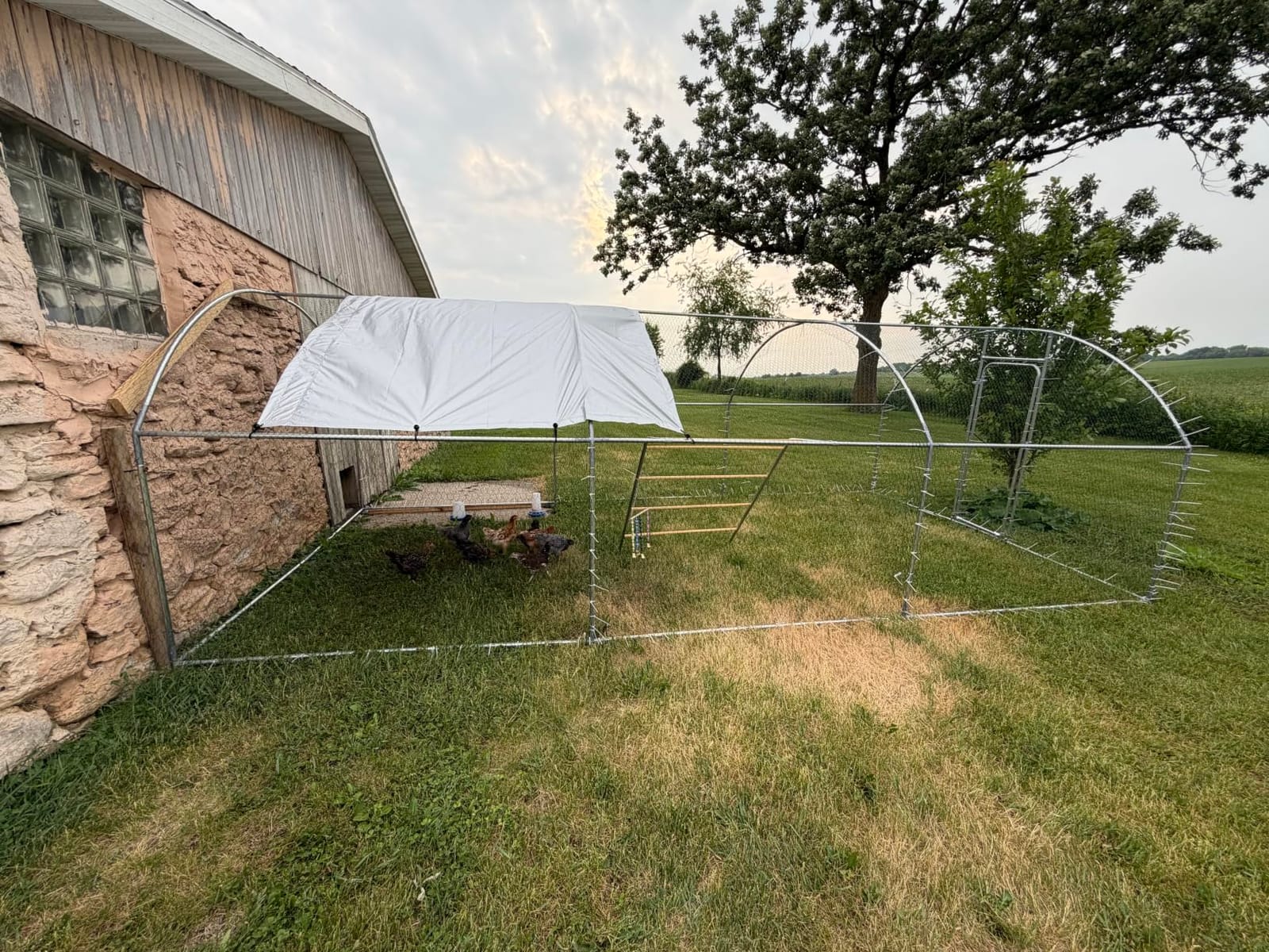 19.7x9.7 FT Extra Large Metal Chicken Coop, Walk-in Poultry Run customer photo 1