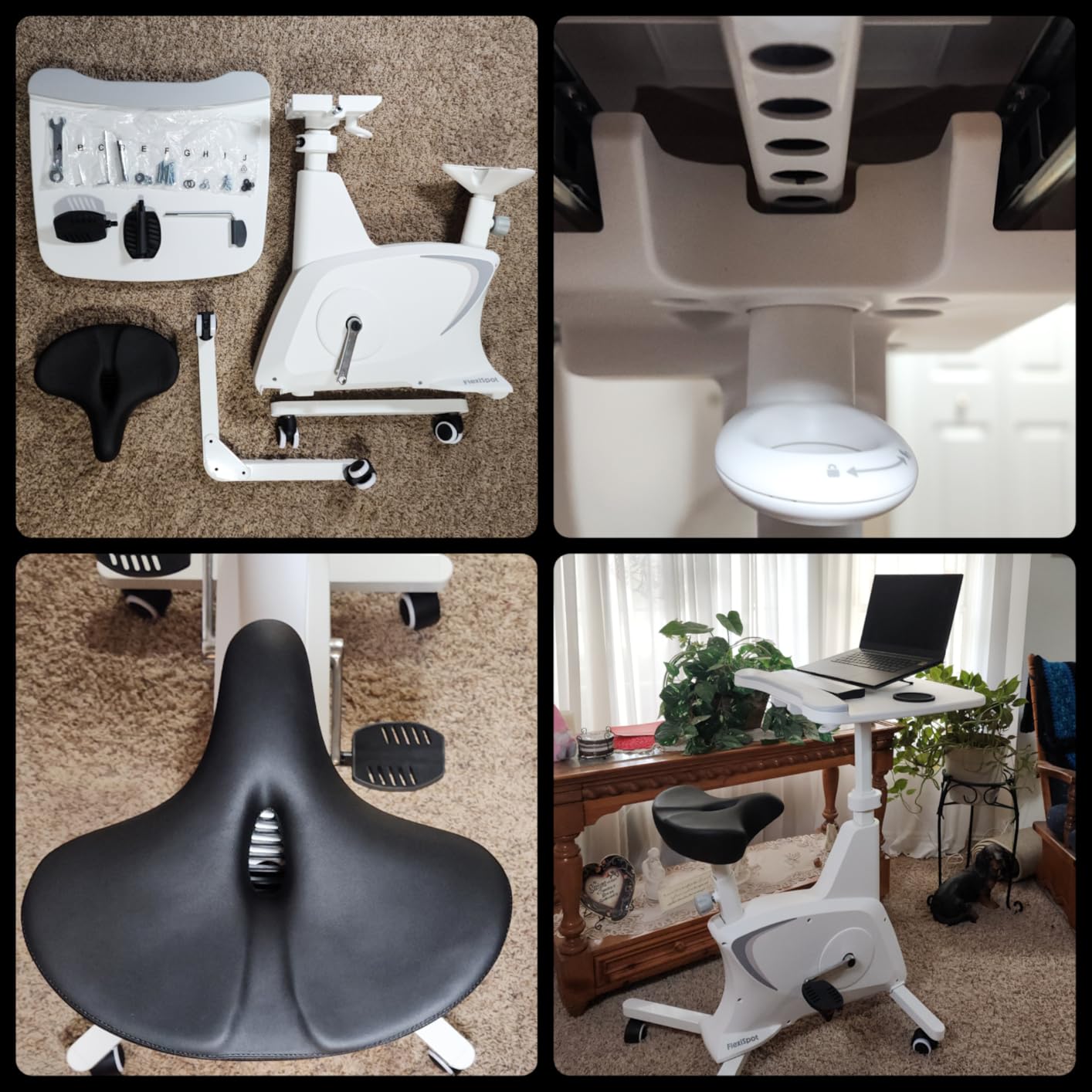 FLEXISPOT Multi-Task Office Desk Chair with Integrated Bike Comfortable Low-Back Lumbar Support Wheels, Space Saving Armless Chairs for Home Office Desk Active Working Relaxing Exercising, White customer photo 2