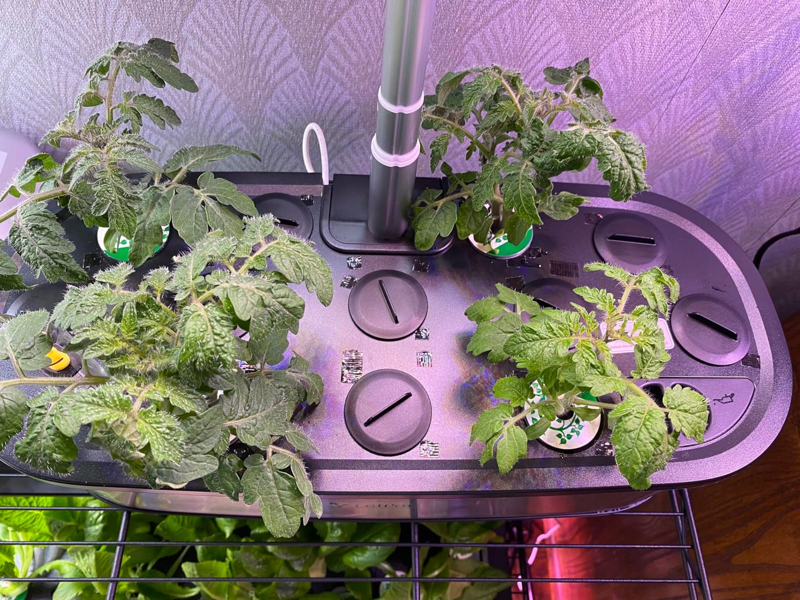LETPOT LPH-Max 21-Pod Hydroponic Growing System Kits, Smart Indoor Garden with APP & WiFi Control, Auto Watering & Nutrient Supply, 36W Full Spectrum LED Grow Light, 7.5L Tank, Up to 30