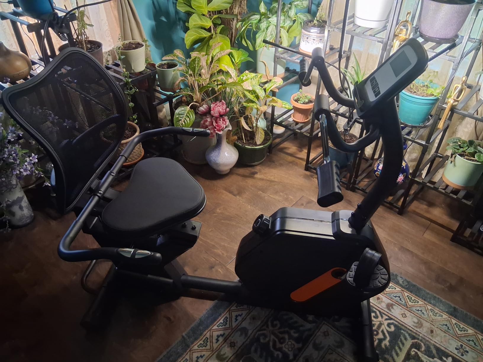 Kawnina Recumbent Exercise Bike for Home, Extra Wide Seat & Arm Exerciser | Ergonomic Back Support, Adjustable Rail, 16-Level Resistance, 420 lbs Capacity customer photo 1